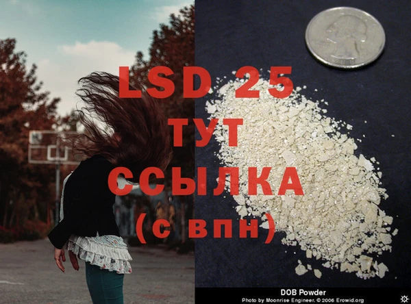мдпв Верея