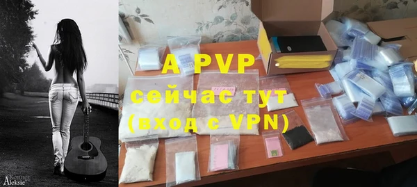 мдпв Верея