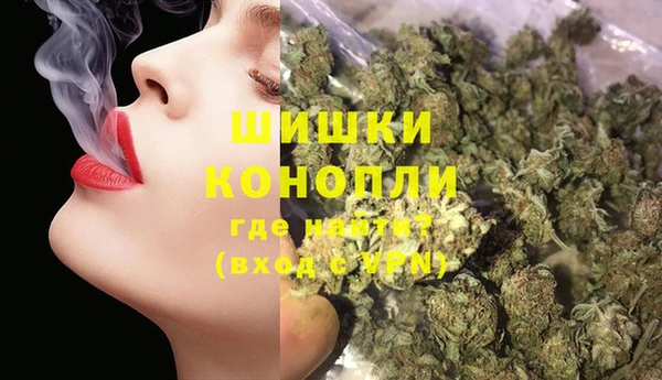 мдпв Верея