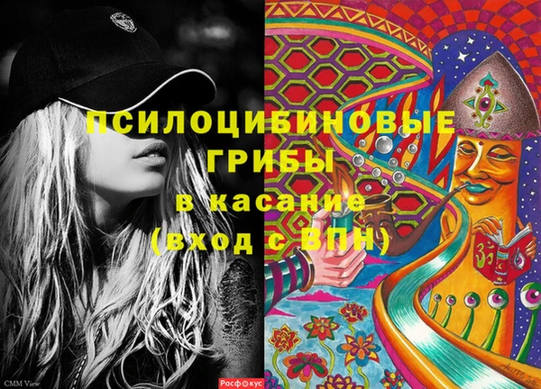 мдпв Верея