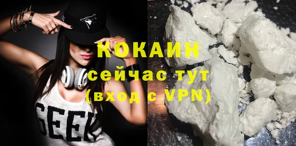 мдпв Верея