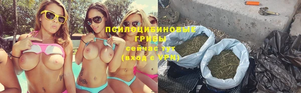мдпв Верея