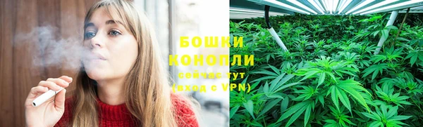 мдпв Верея